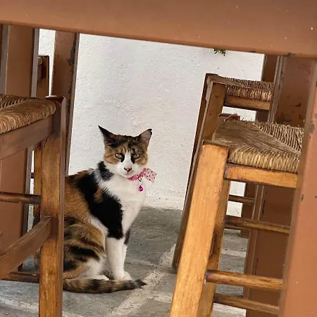 Casa de Férias Not A *